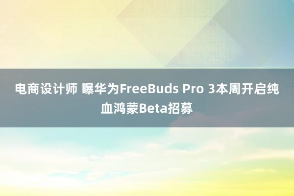 电商设计师 曝华为FreeBuds Pro 3本周开启纯血鸿蒙Beta招募