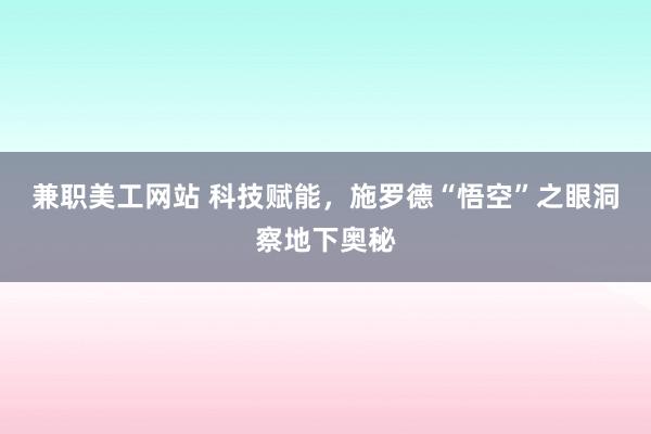 兼职美工网站 科技赋能，施罗德“悟空”之眼洞察地下奥秘