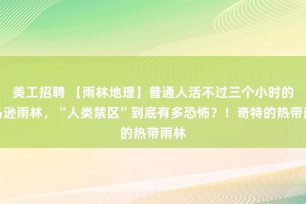 美工招聘 【雨林地理】普通人活不过三个小时的亚马逊雨林，“人类禁区”到底有多恐怖？！奇特的热带雨林