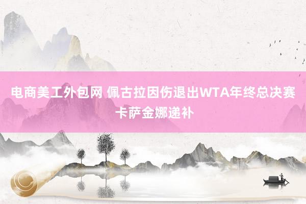 电商美工外包网 佩古拉因伤退出WTA年终总决赛 卡萨金娜递补